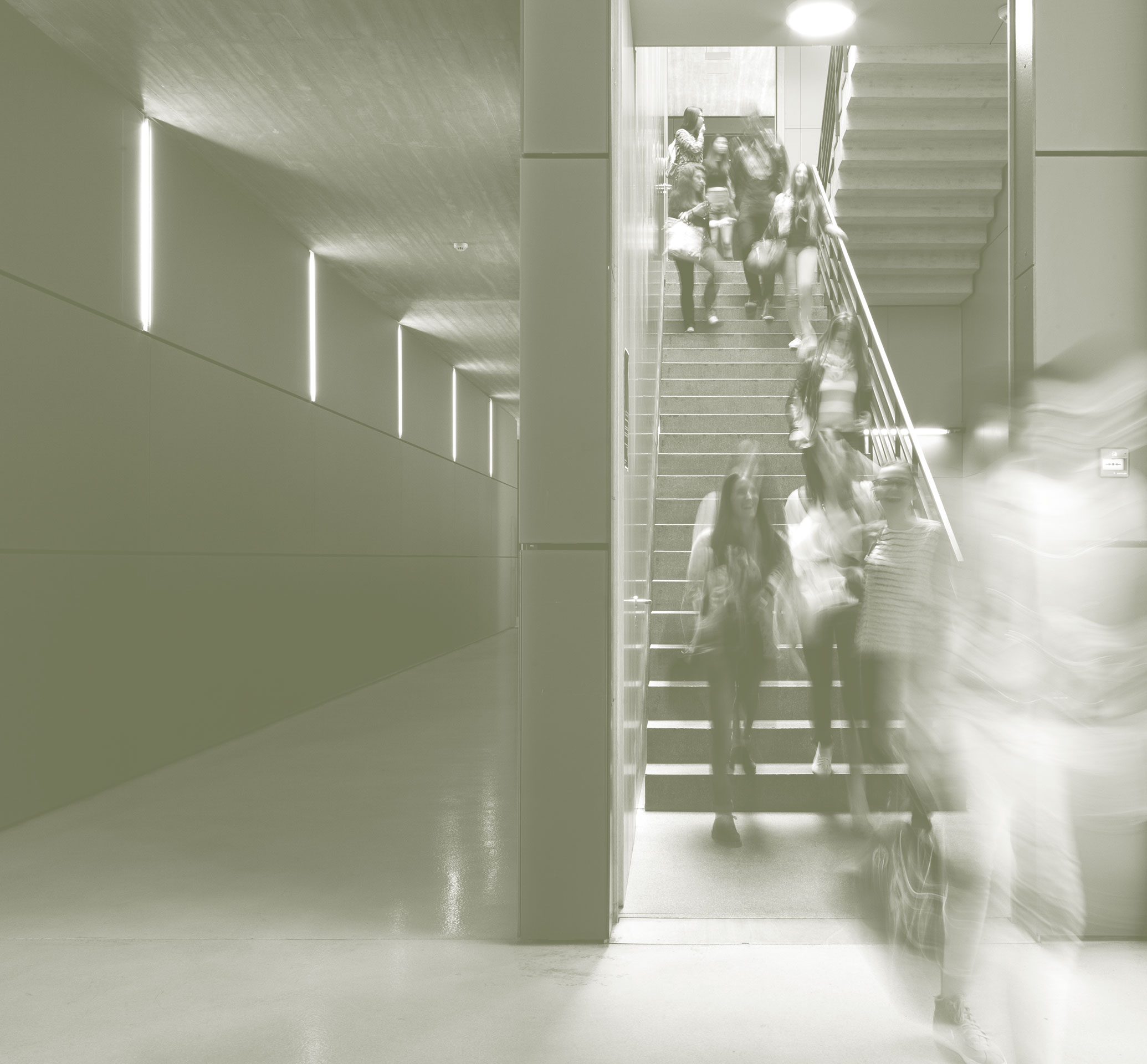 Fondazione per<br> le Facoltà di Lugano<br> dell’Università della<br> Svizzera italiana